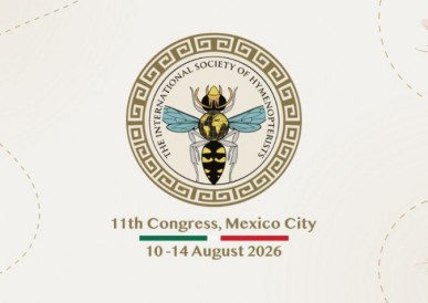 11th Congress of the International Society of Hymenopterists
