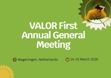 VALOR First Annual General Meeting