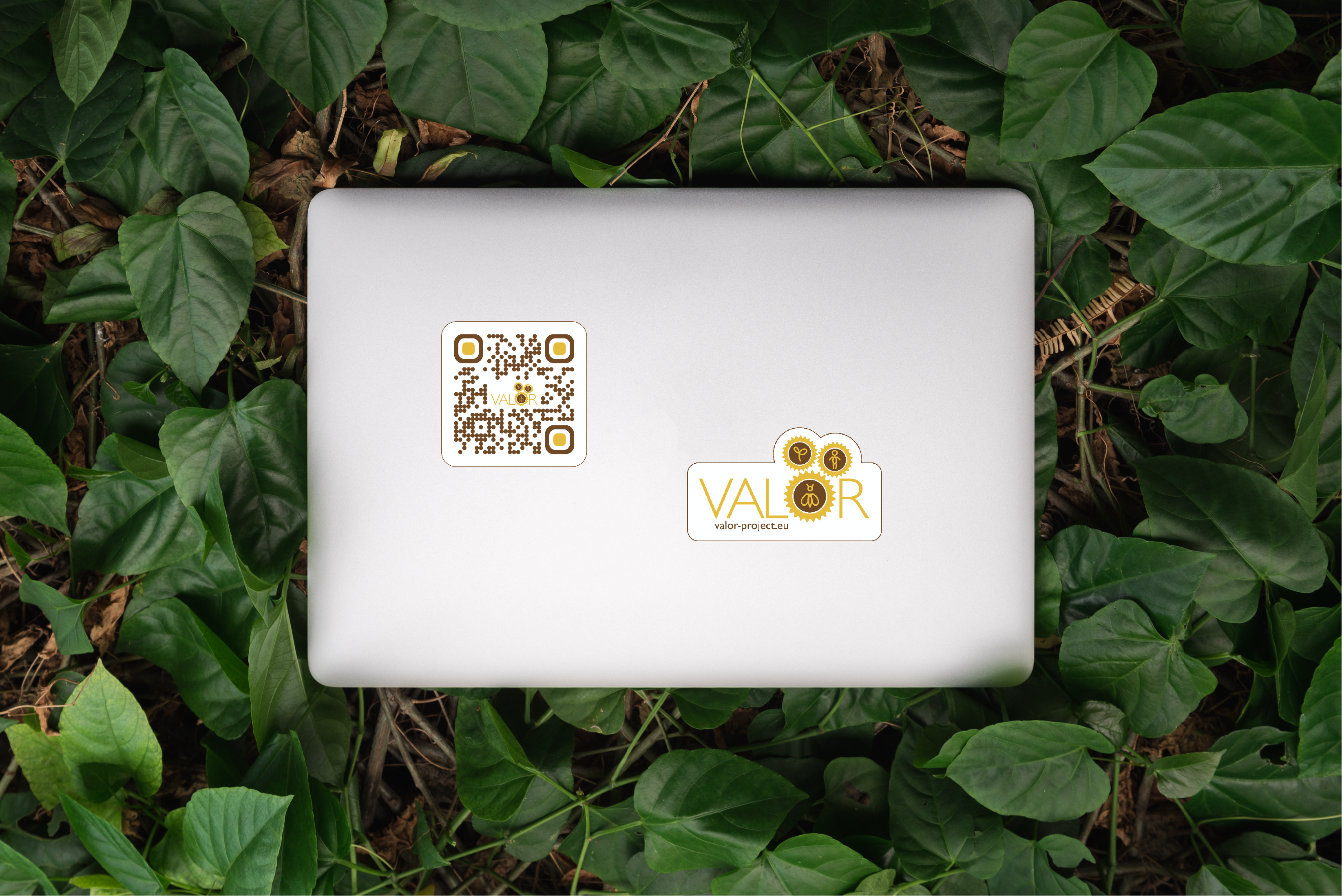 QR code sticker