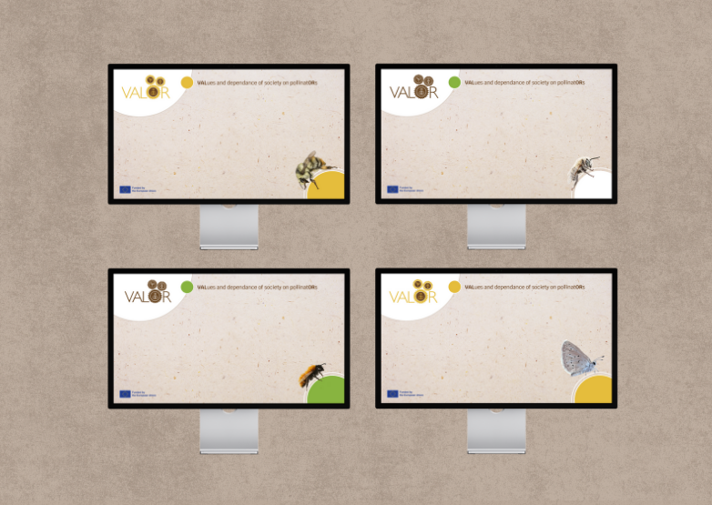 Virtual backgrounds